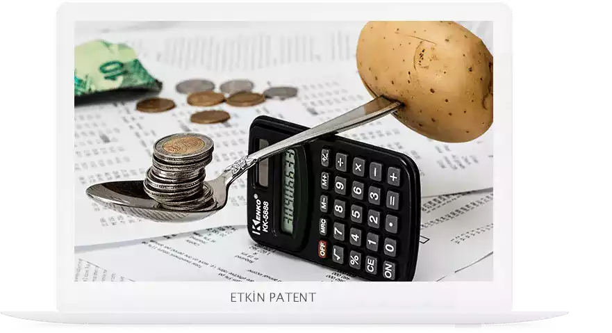 finansal davranışlara dair kombinasyon modeller-Buca Patent